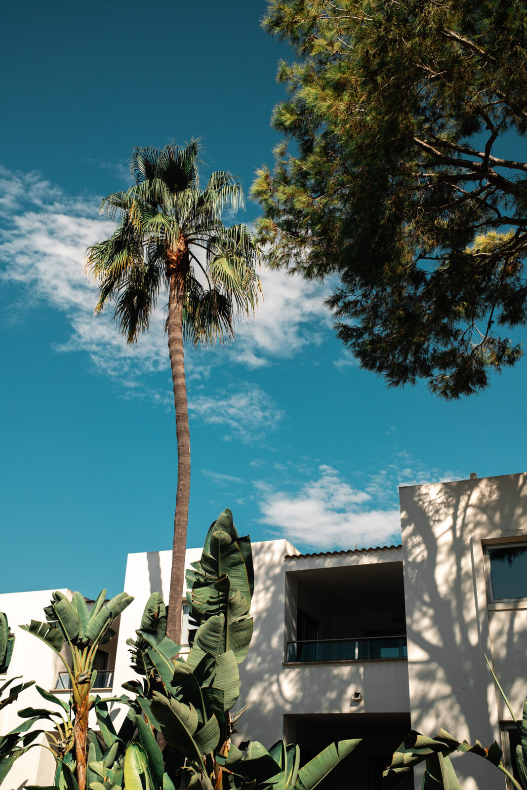 iberostar selection playa de muro village mallorca hotel familie urlaub travel blog sunnyinga