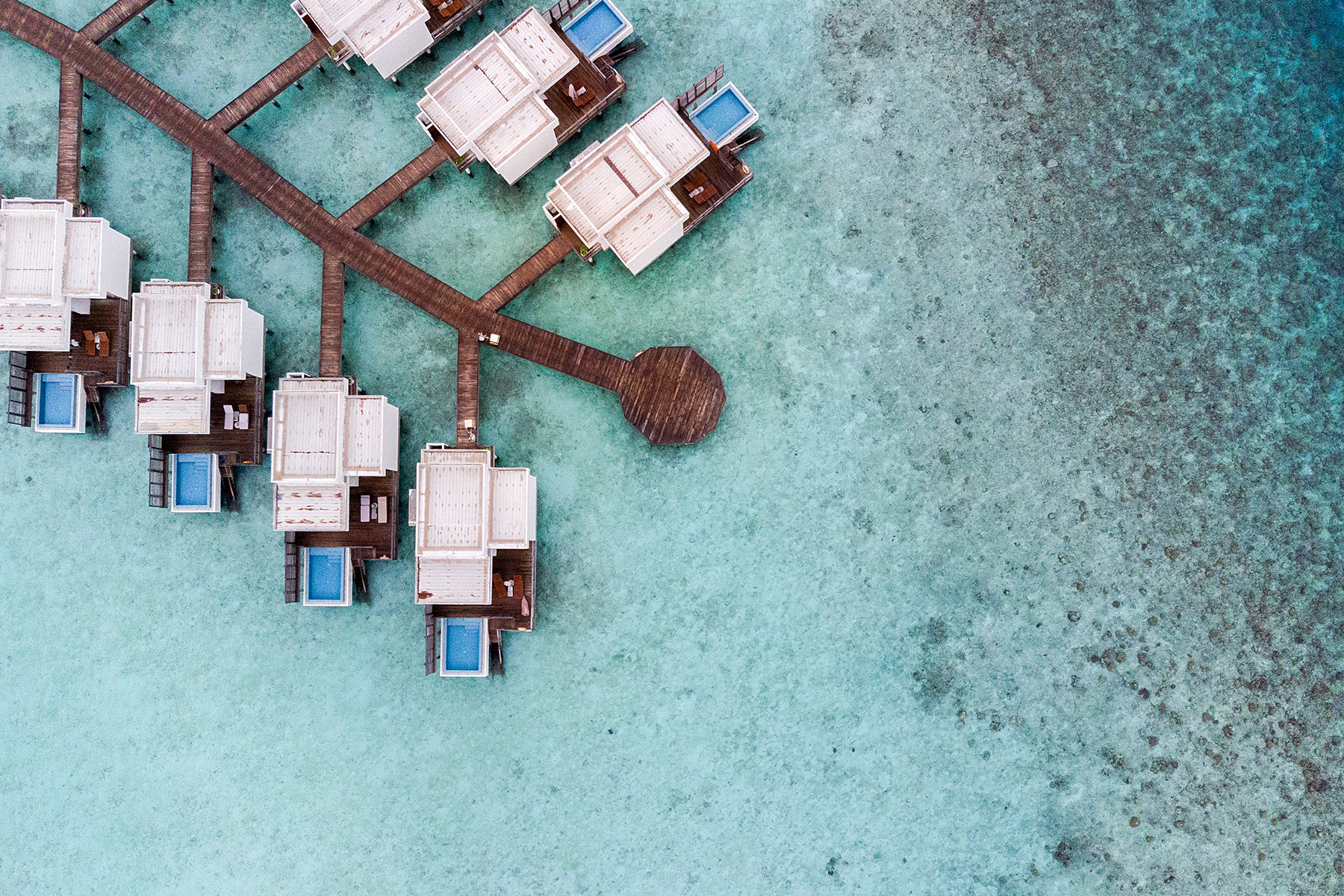 dhigali lagoon villa mit pool malediven travel blogger sunnyinga