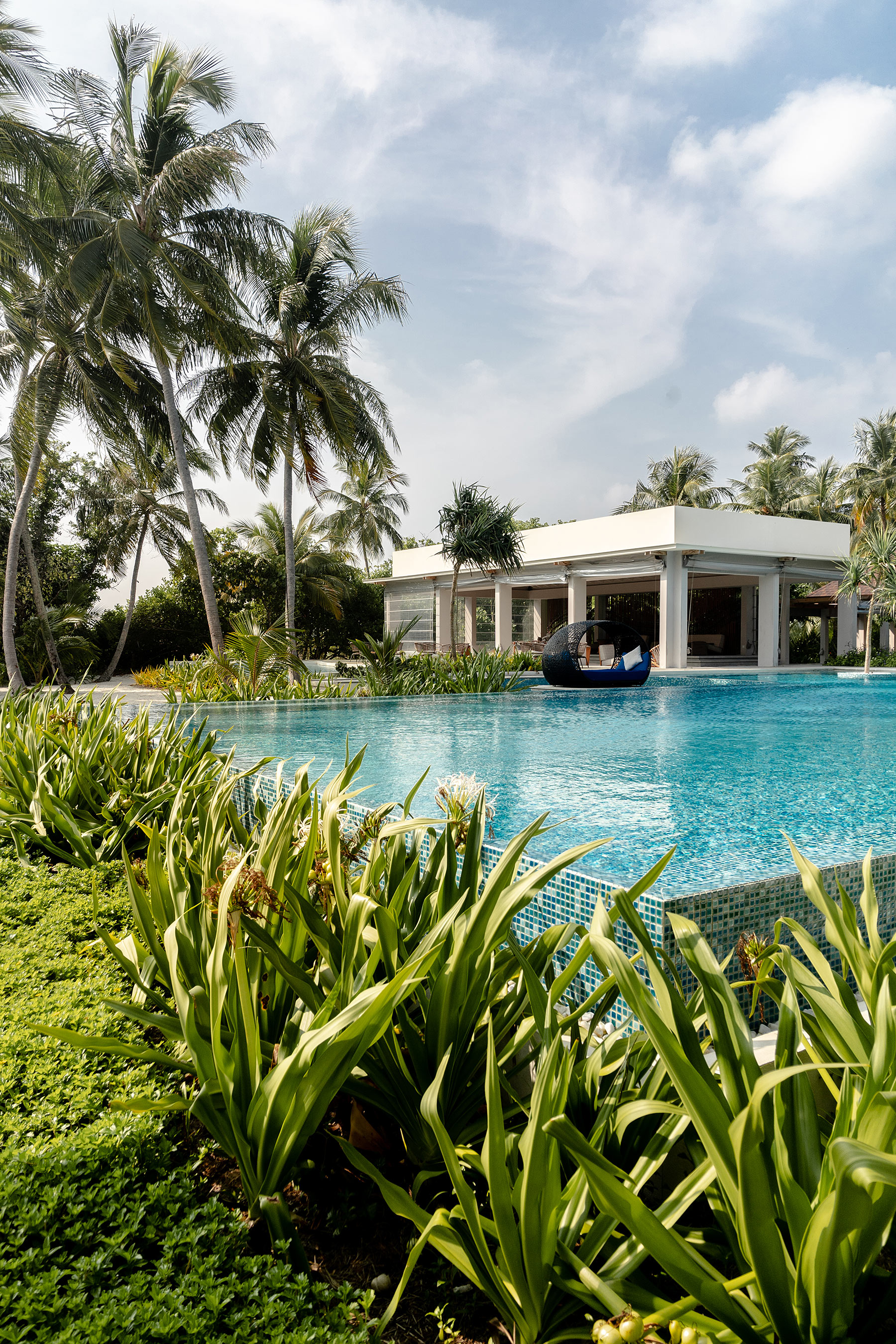 dhigali malediven hotel public pool travel blog sunnyinga