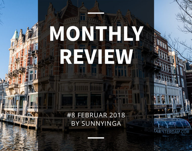 Sunnyinga Monthly Review Monatsrückblick #8 Februar 2018