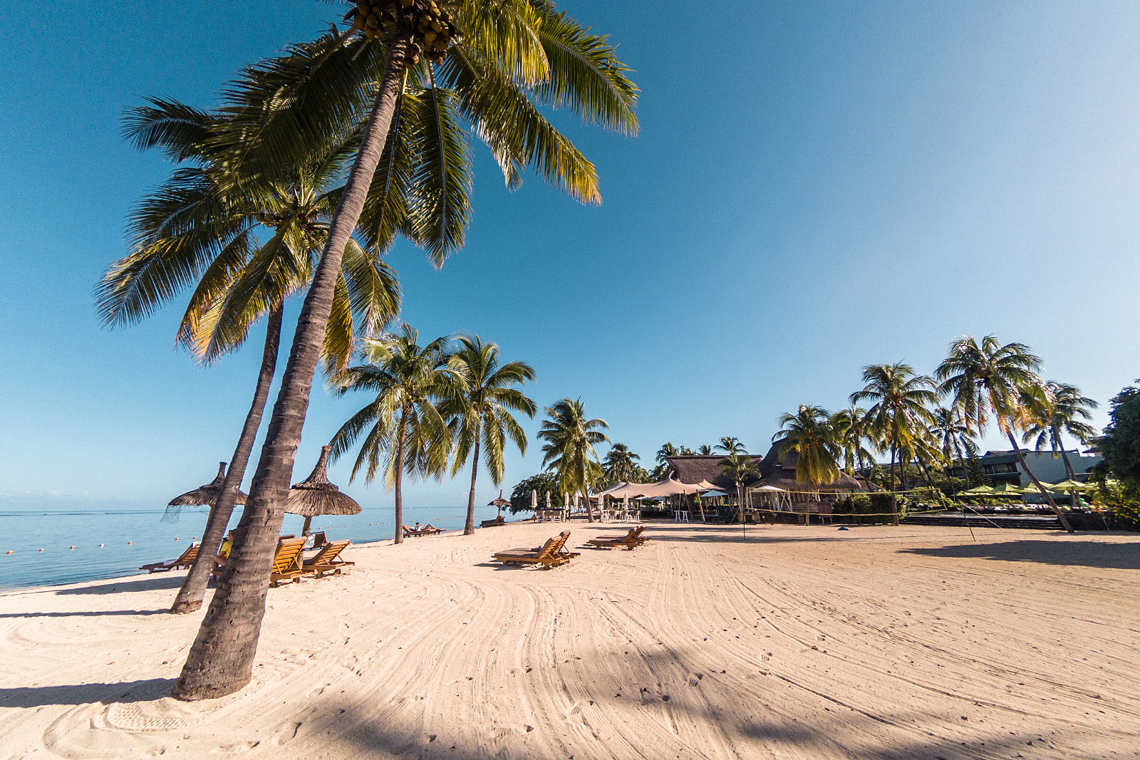 sofitel mauriitus sandstrand palmen strand travel blogger sunnyinga